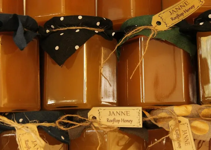 Janne Hotel